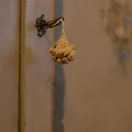 בית חווה Casale La Canigiana Agriturismo *